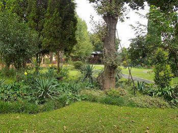 Sarabi Country Lodge Kempton Park Buitenkant foto
